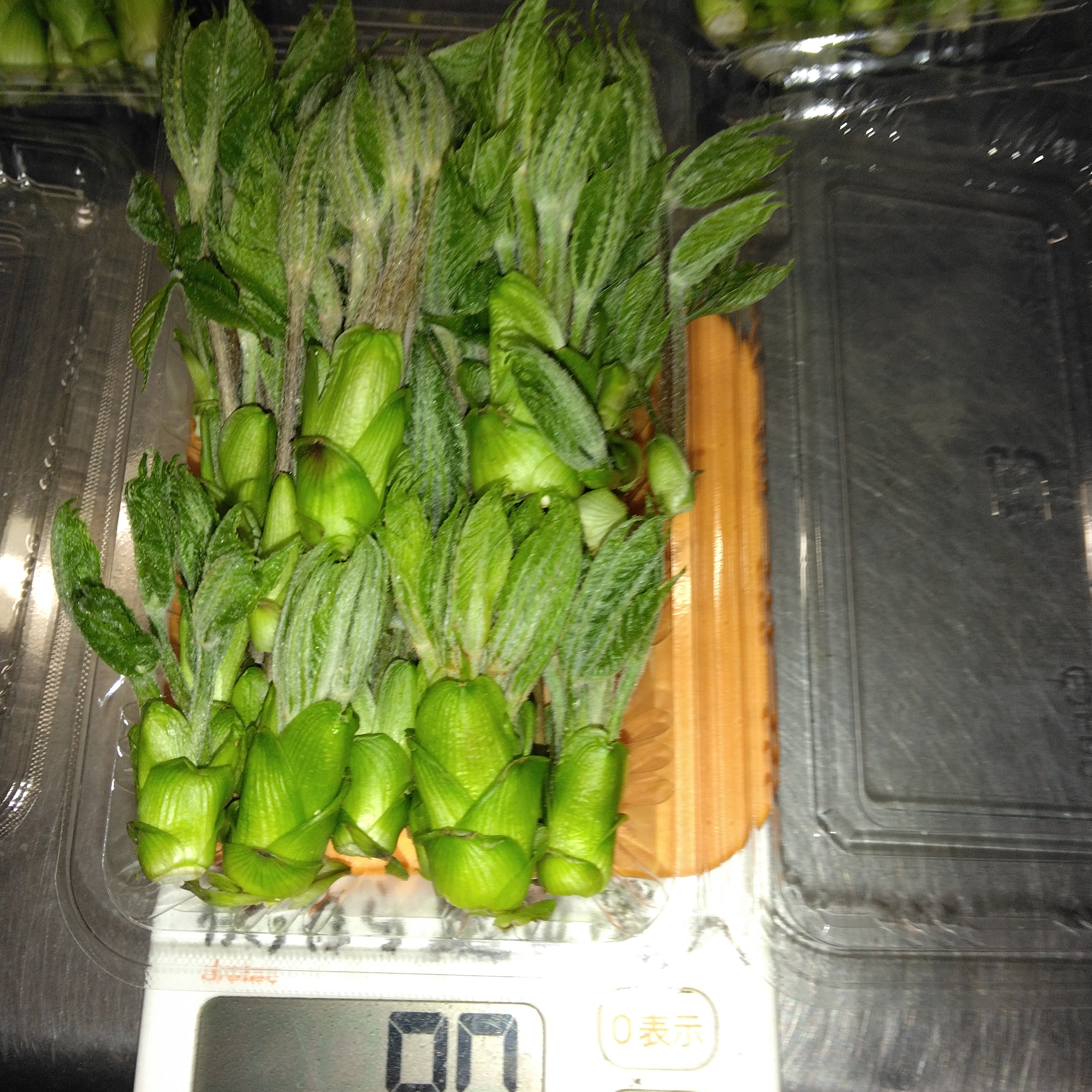 山菜セットたっぷり2種類 ｜ 野菜/山菜 産直アウル 農家・漁師など