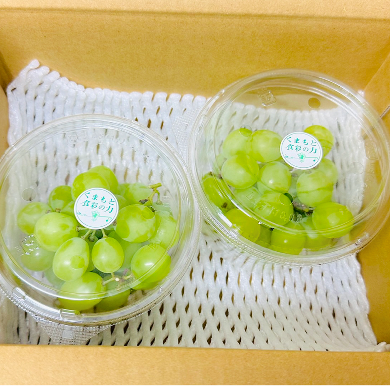 九州産 訳あり 脱粒 シャインマスカット 600g 2カップ 箱込み 冷蔵配送