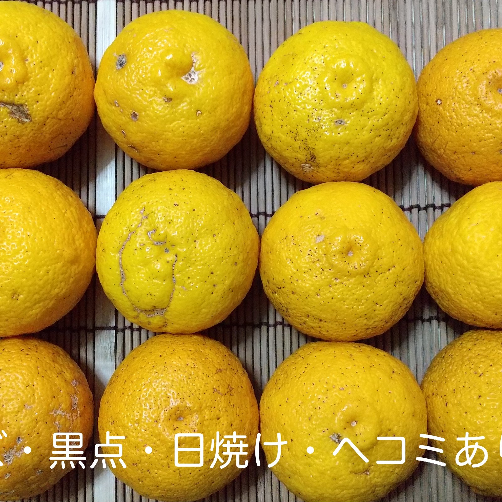 今が旬の柚子 ユズ4.5kg ｜ 果物/香酸柑橘(ライム・レモン等) 産直