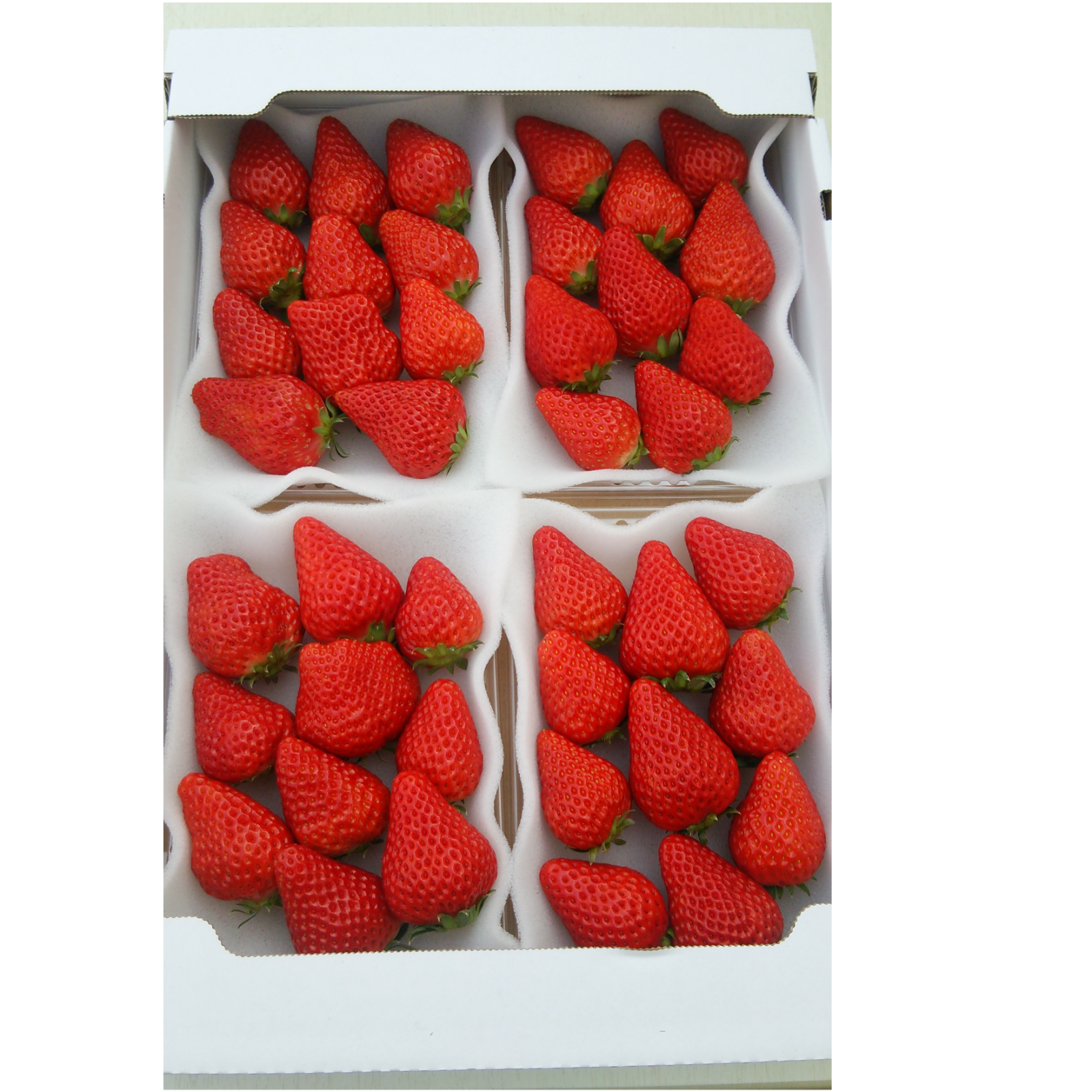 専用❤みかん＊癒しの⭐厚め＊オリジナルボディタオル❤Yuwa＊苺…