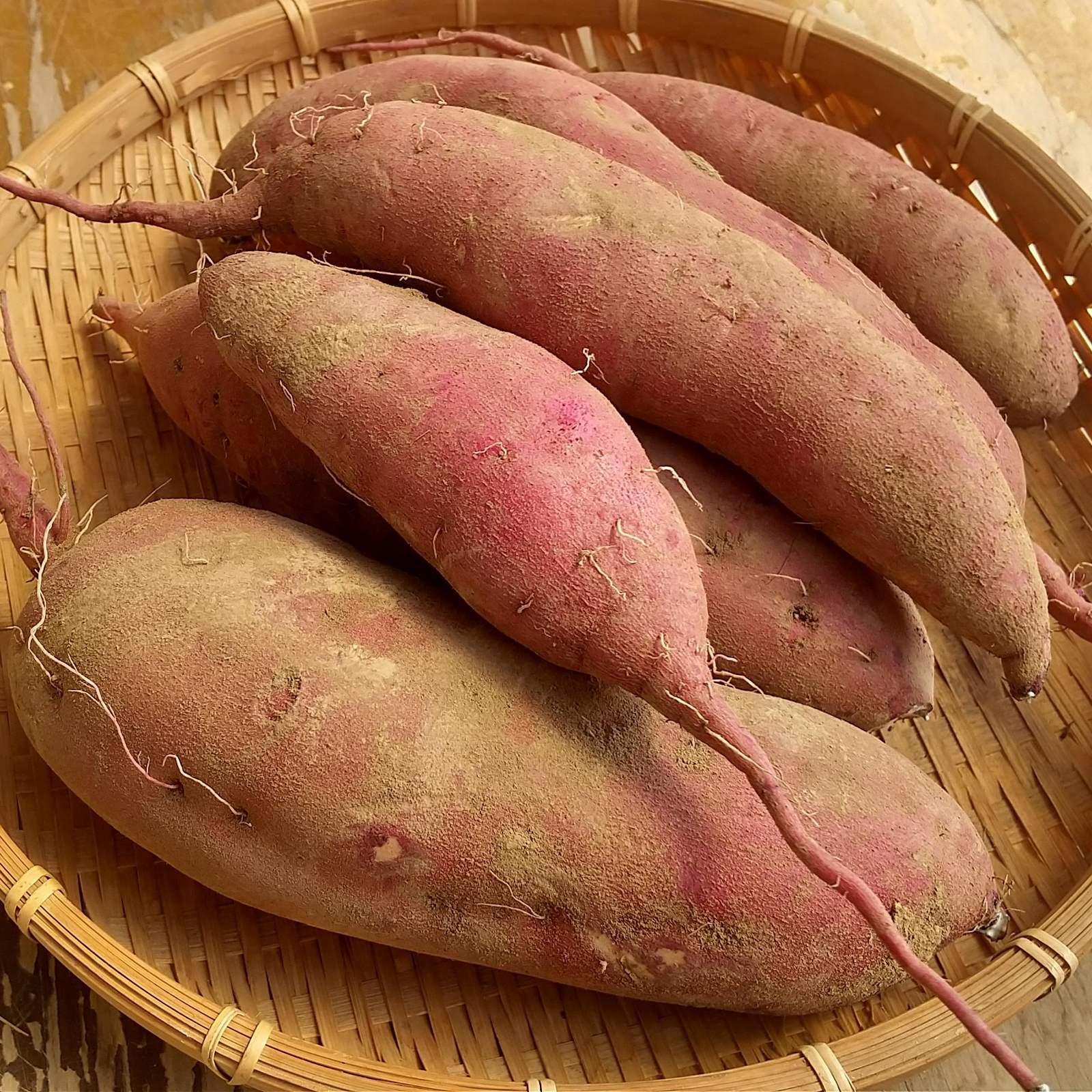 農薬・化学肥料不使用 熟成紅はるか Lサイズ ５キロ 秋のしあわせ：さつまいも「紅はるか（5㎏）」 農薬化学肥料不使用