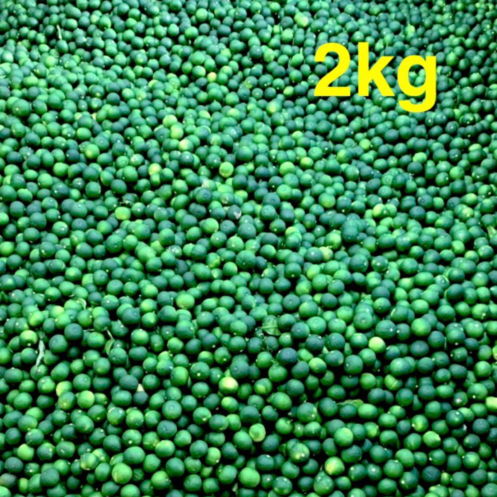 松原農園の有機栽培規定内すだち 2kg | 果物/香酸柑橘(ライム・レモン