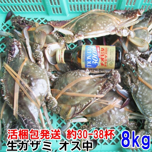 ワタリガニ オス中サイズ8kg（約30-40杯）【水揚げ好調のため20