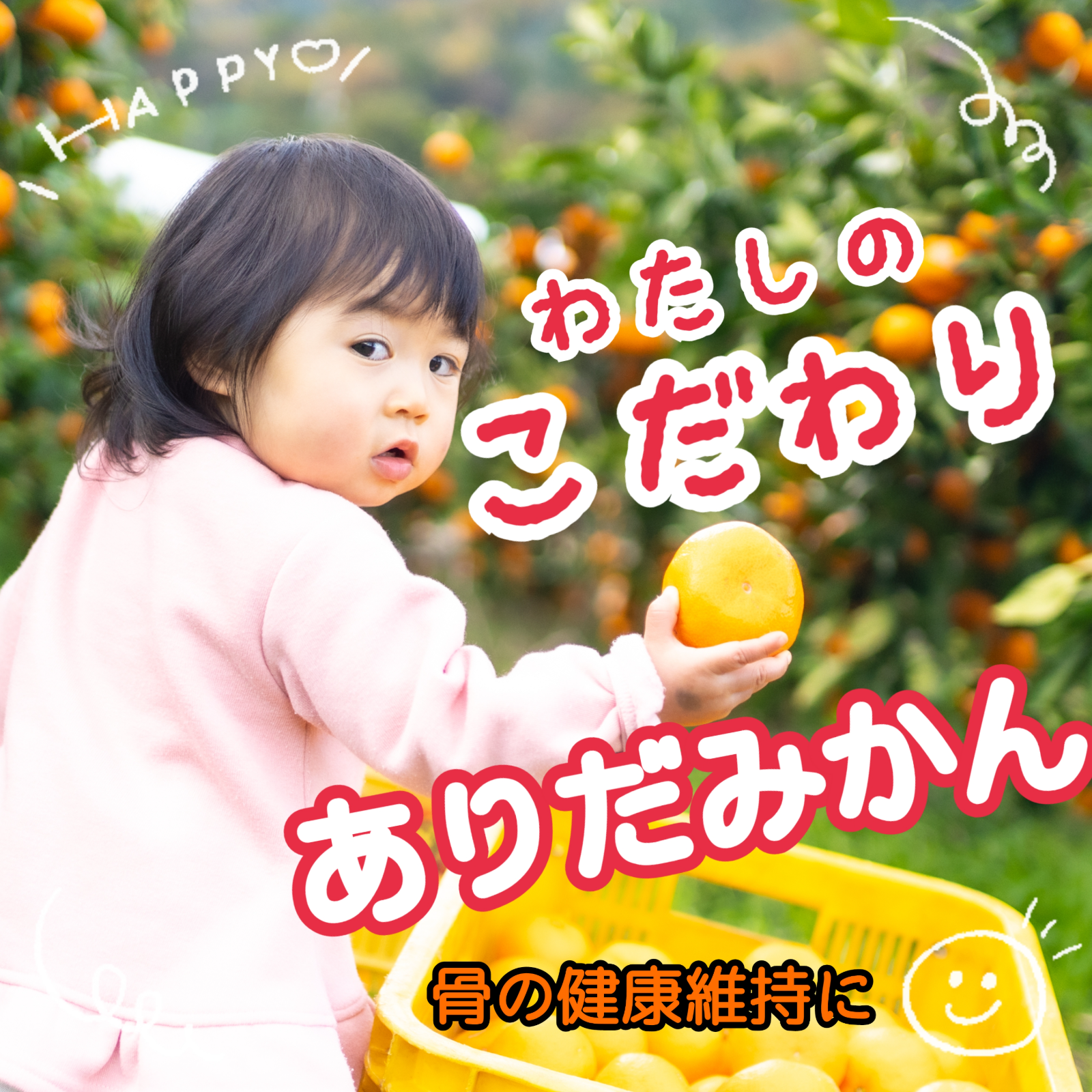 S*C様 15Kg 防腐剤無し✌️有田みかん 無防腐剤 限定品 特産品 日本一 感動のみかん！防腐剤不使用S~Mサイズ5kg とみ子ばぁばの有田みかん