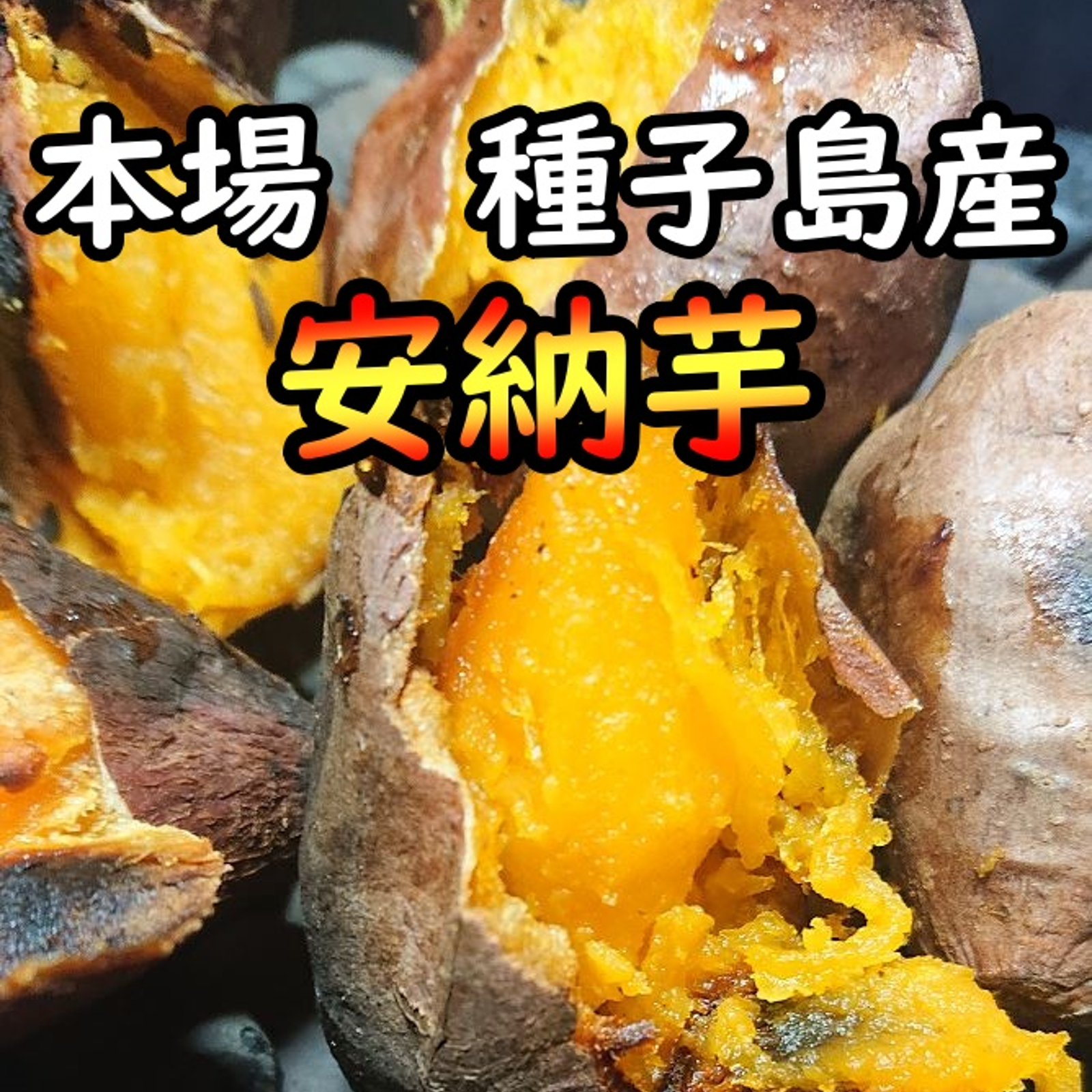 種子島産安納芋MLサイズ2kgさつまいも焼き芋に紅はるかより希少☆2 - 野菜