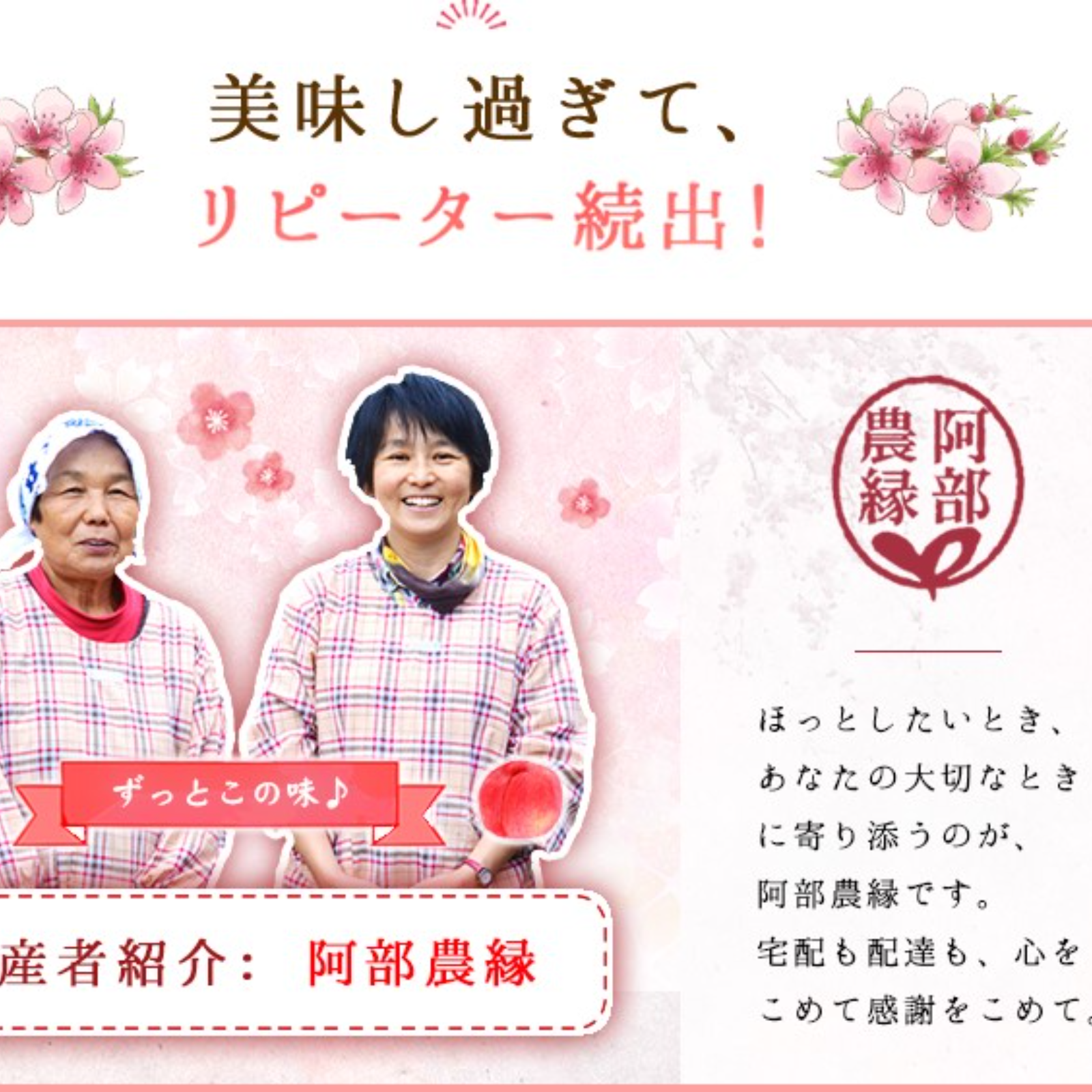 正子ばあちゃん特製タケノコごはんの素 3合用6パック 朝採り新鮮筍