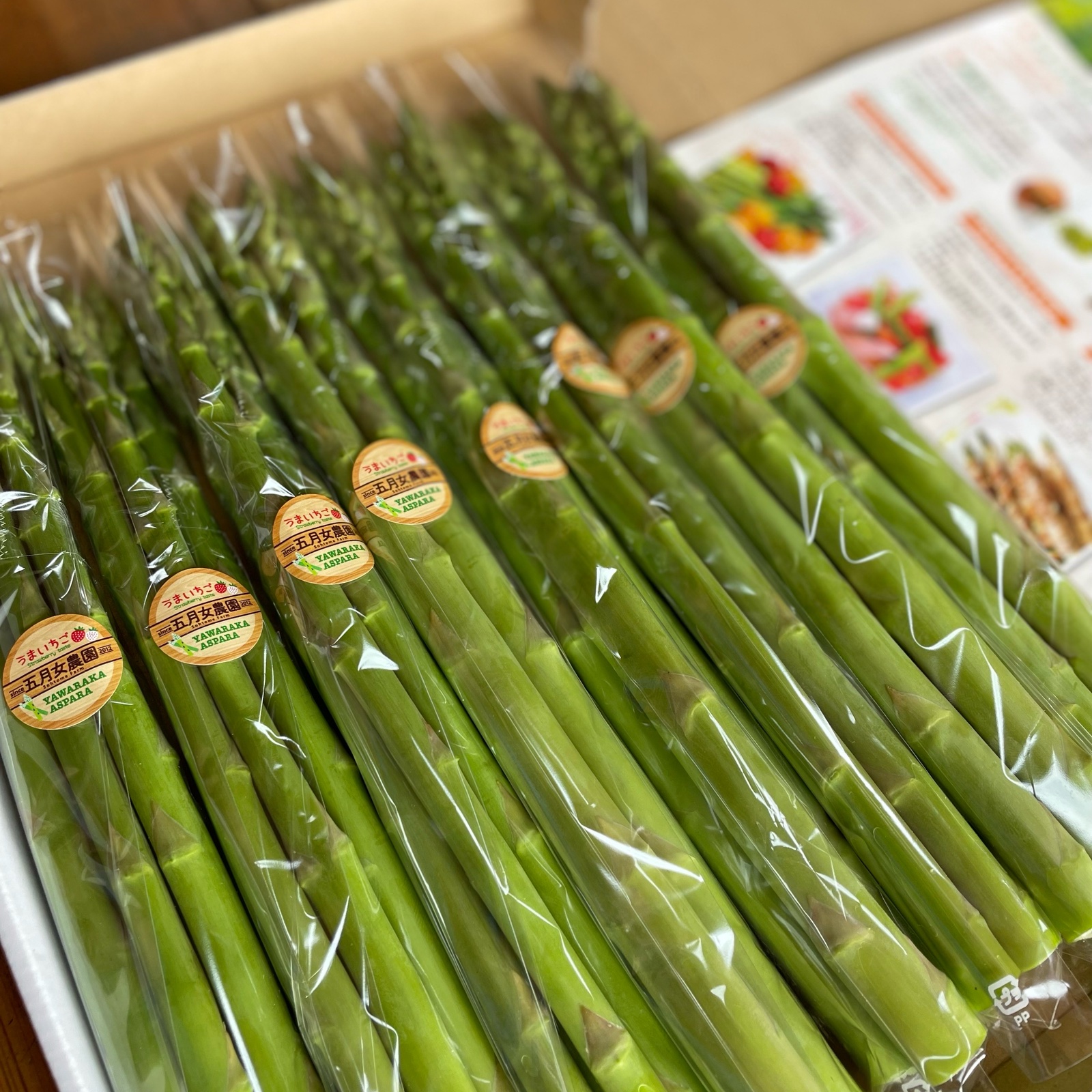 新鮮アスパラ　アスパラガス　5キロ　太めB品 五月女農園のやわらかアスパラ | 野菜/アスパラガス 産直アウル 農家