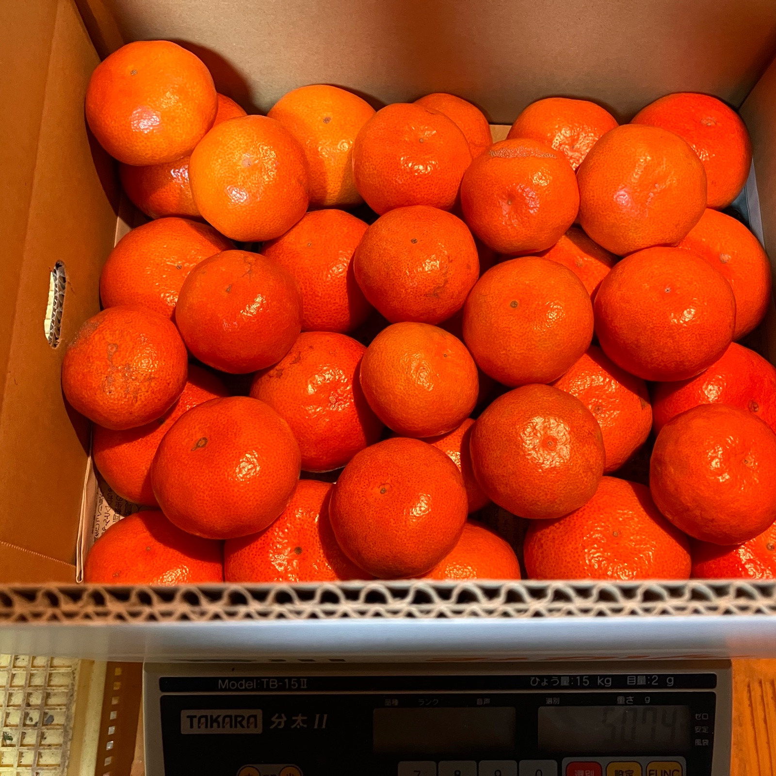 小原紅早生みかん　20kg 訳あり 小原紅早生5㎏（訳あり） ｜ 果物/温州みかん 産直アウル 農家・漁師