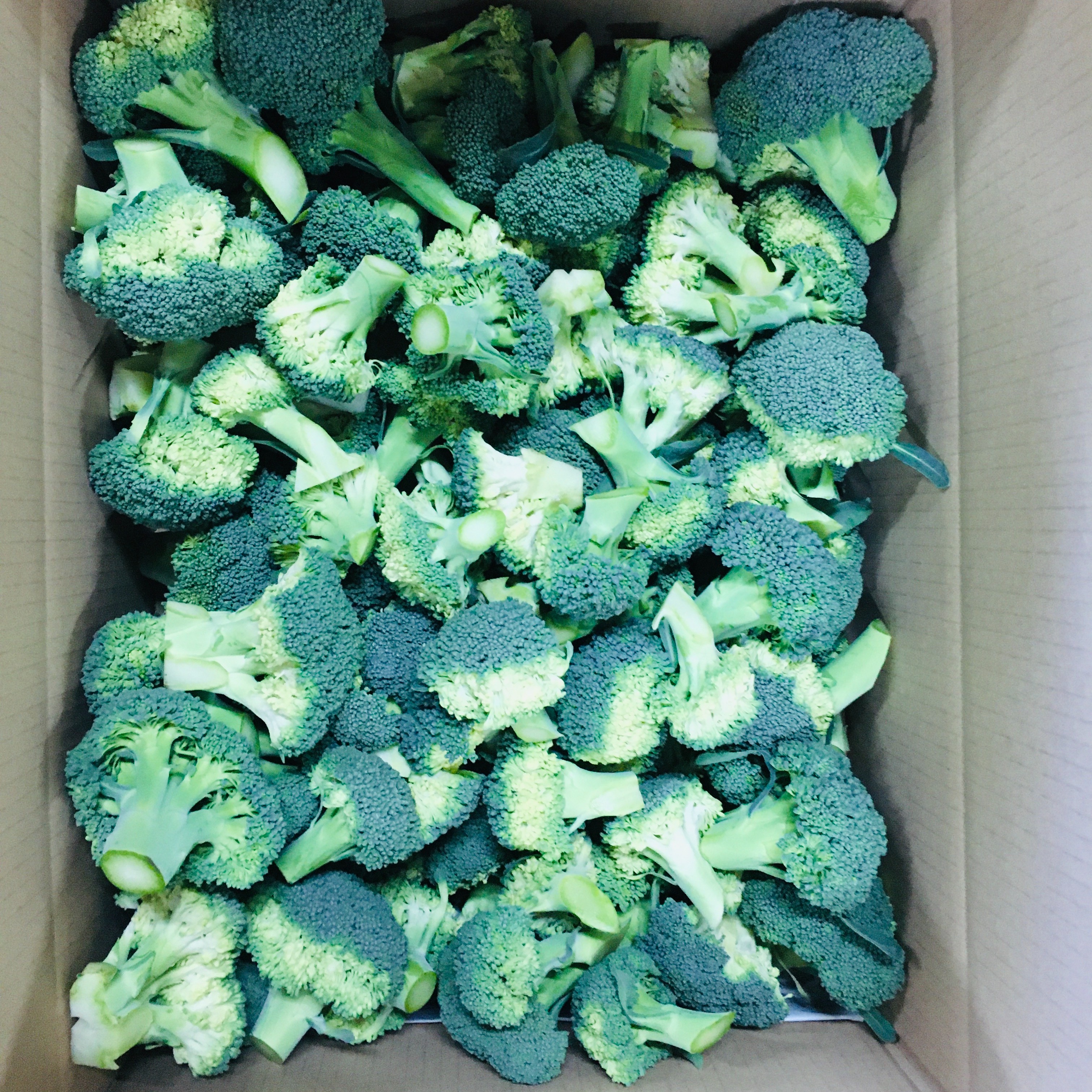 洗って茹でるだけ！美味しいカットブロッコリー3.5kg ｜ 野菜