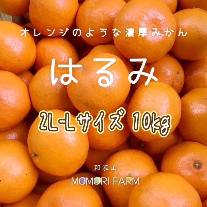 家庭用はるみ10キロと  レモン2キロ 家庭用はるみ10キロと レモン2キロ 家庭用はるみ10キロと レモン