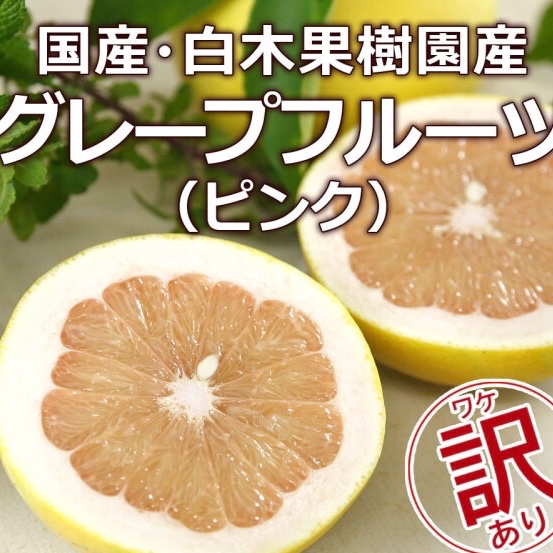 国産 グレープフルーツ ピンク5kg家庭用 | 果物