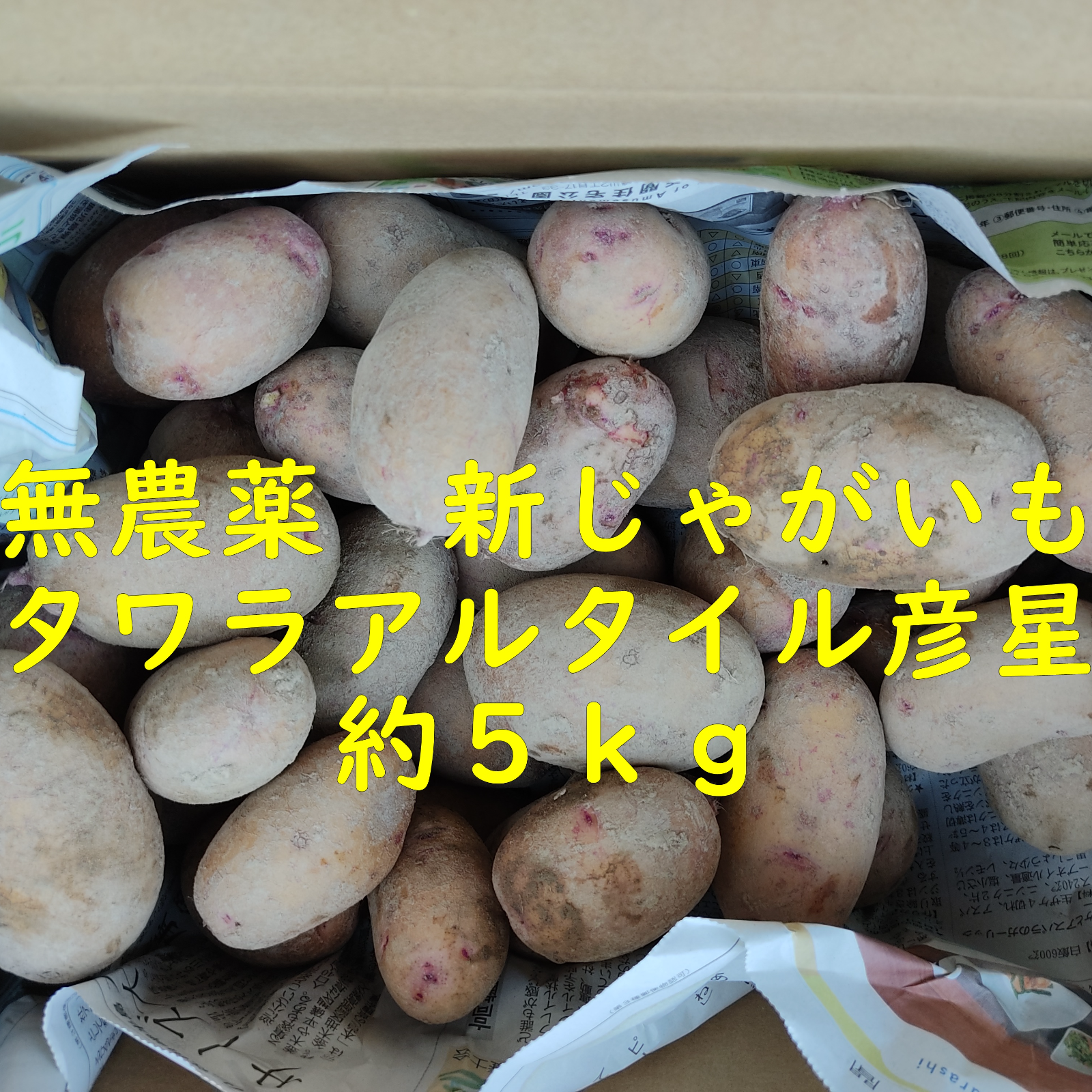 鹿児島県産 栽培期間中無農薬栽培じゃがいも10kg