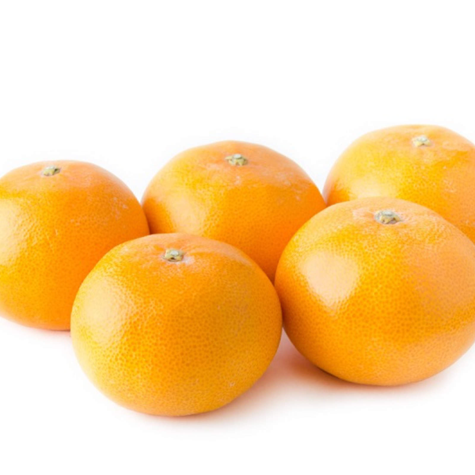 くまもと 熊本みかん 約5kg 訳あり 家庭用 Sサイズ～3L混合 熊本 九州