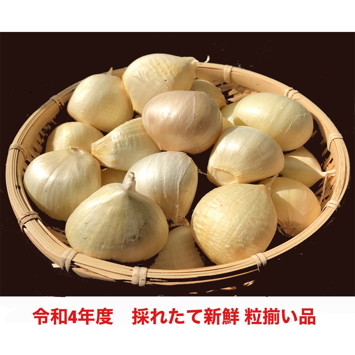 ジャンボ乾燥にんにく ｜ 野菜/にんにく 産直アウル 農家・漁師など