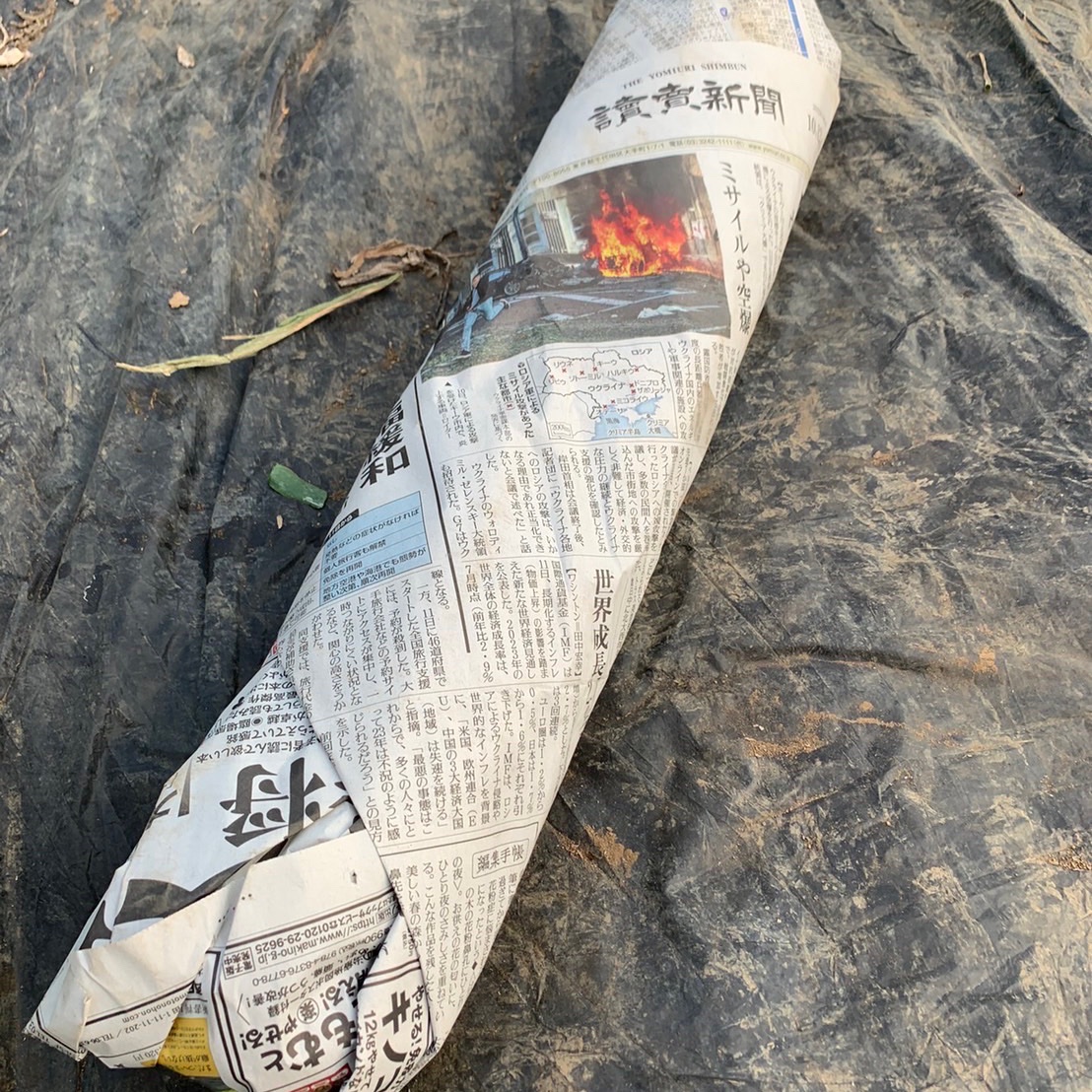 千葉県産 訳あり長ネギ10kg 農家から新鮮なまま迅速直発送♪ ｜ 野菜