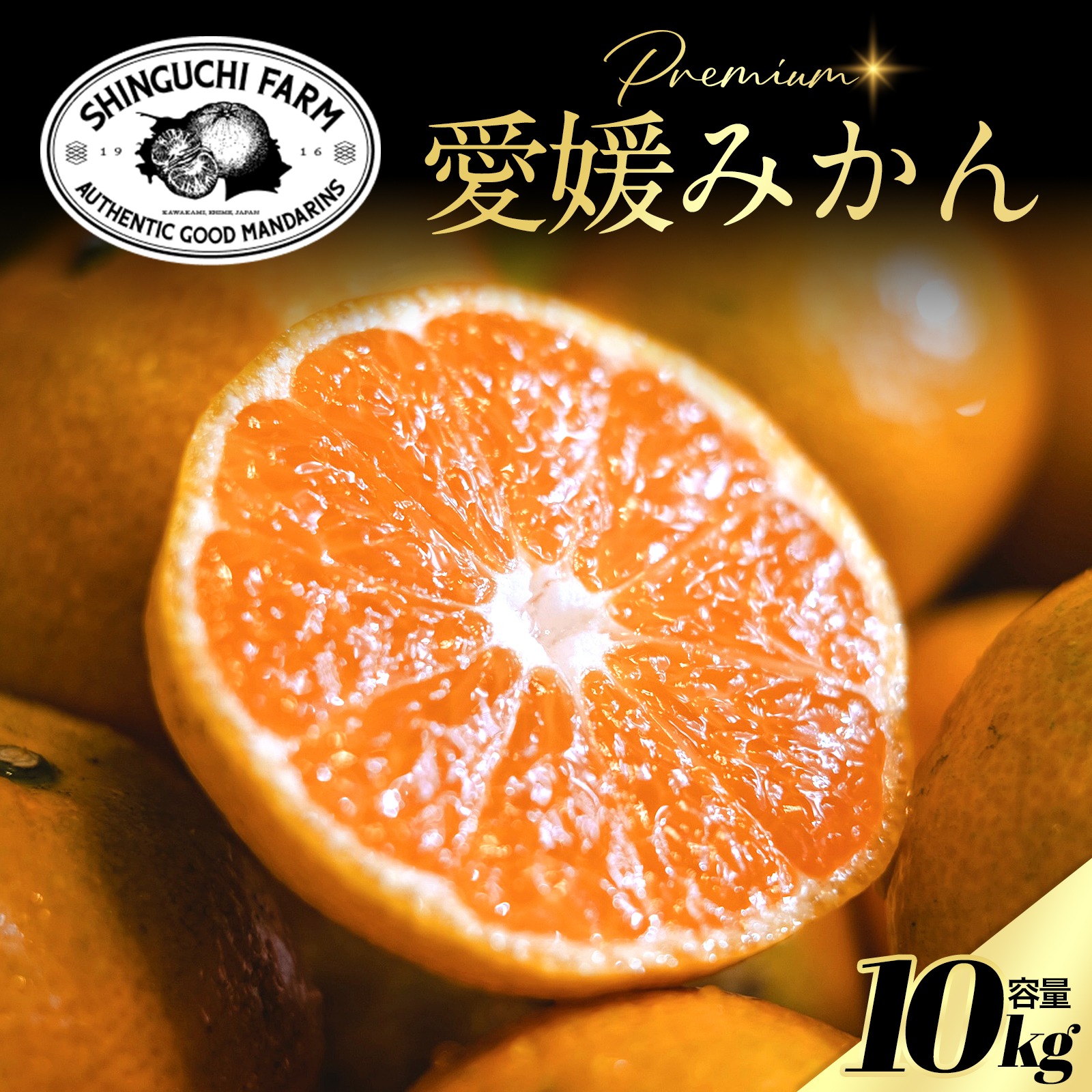 愛媛県産　はるみ　柑橘　10kg