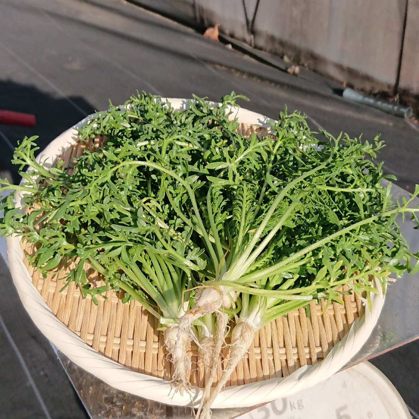 山梨マカ（山梨県・北杜市）｜生産者詳細｜産直アウル