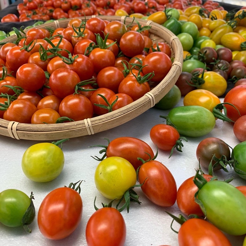 龍宮FARM（宮崎県・都農町）｜生産者詳細｜産直アウル