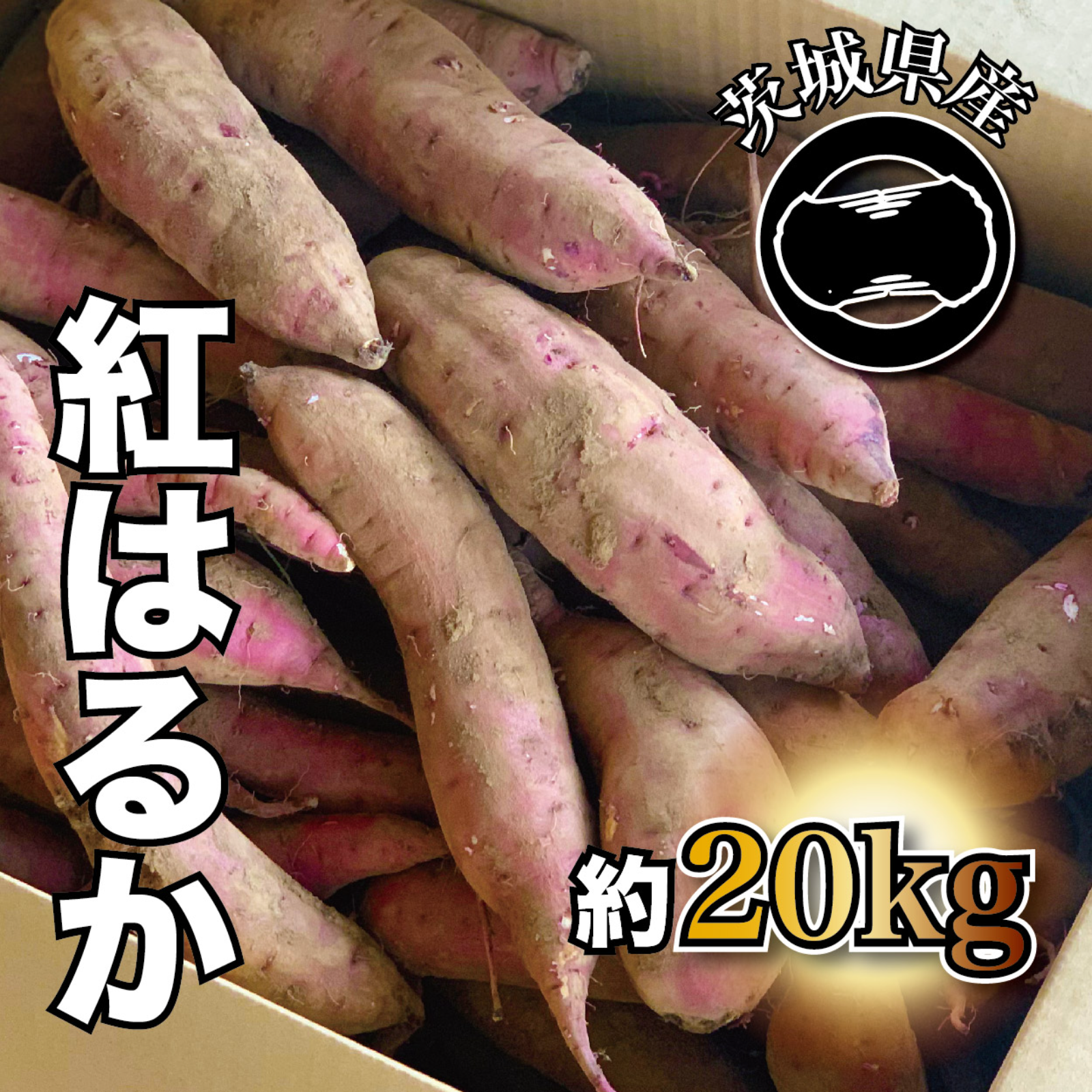 いのちの郷のさつまいも(紅はるか) 約20kg キュアリング済み ｜ 野菜