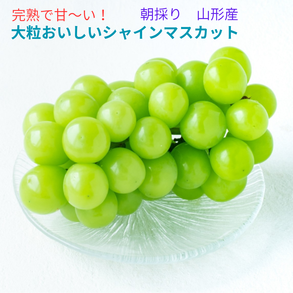 これから旬！甘～い完熟朝採りシャインマスカット2kg~ 3～4房入り