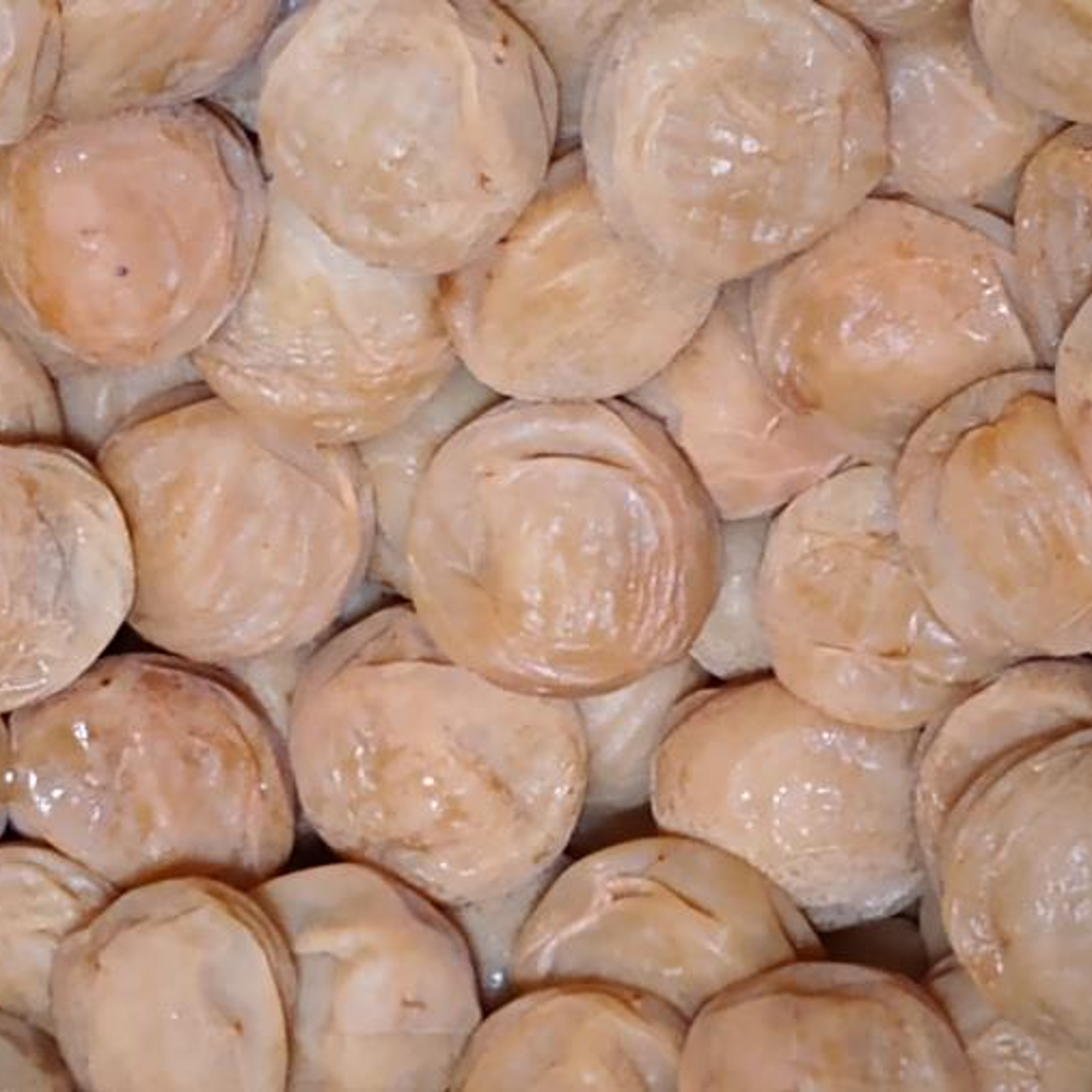 白干し梅（白梅）A品3L~4L1Kg ｜ 加工品/梅干 産直アウル 農家