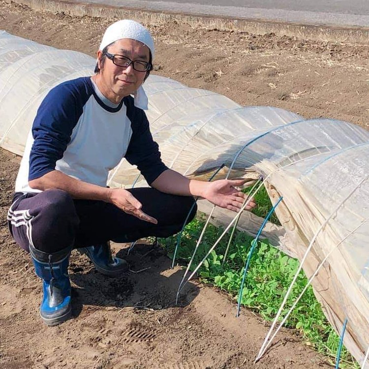 無農薬栽培パクチー ｜ 野菜/ハーブ 産直アウル 農家・漁師など生産者 