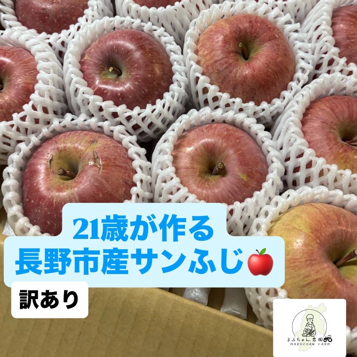 まるちゃん農園🌾農家1年目21歳が作る長野市産！訳ありりんご🍎5キロ