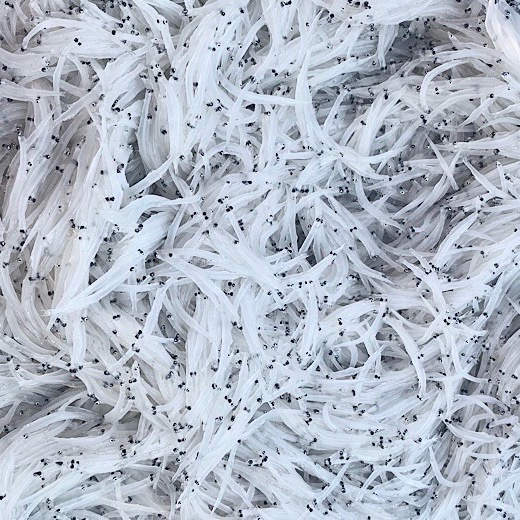 🐟希少 鮮魚 霞ヶ浦産 生白魚 生わかさぎセット🐟 ｜ 魚介類/川魚 産直