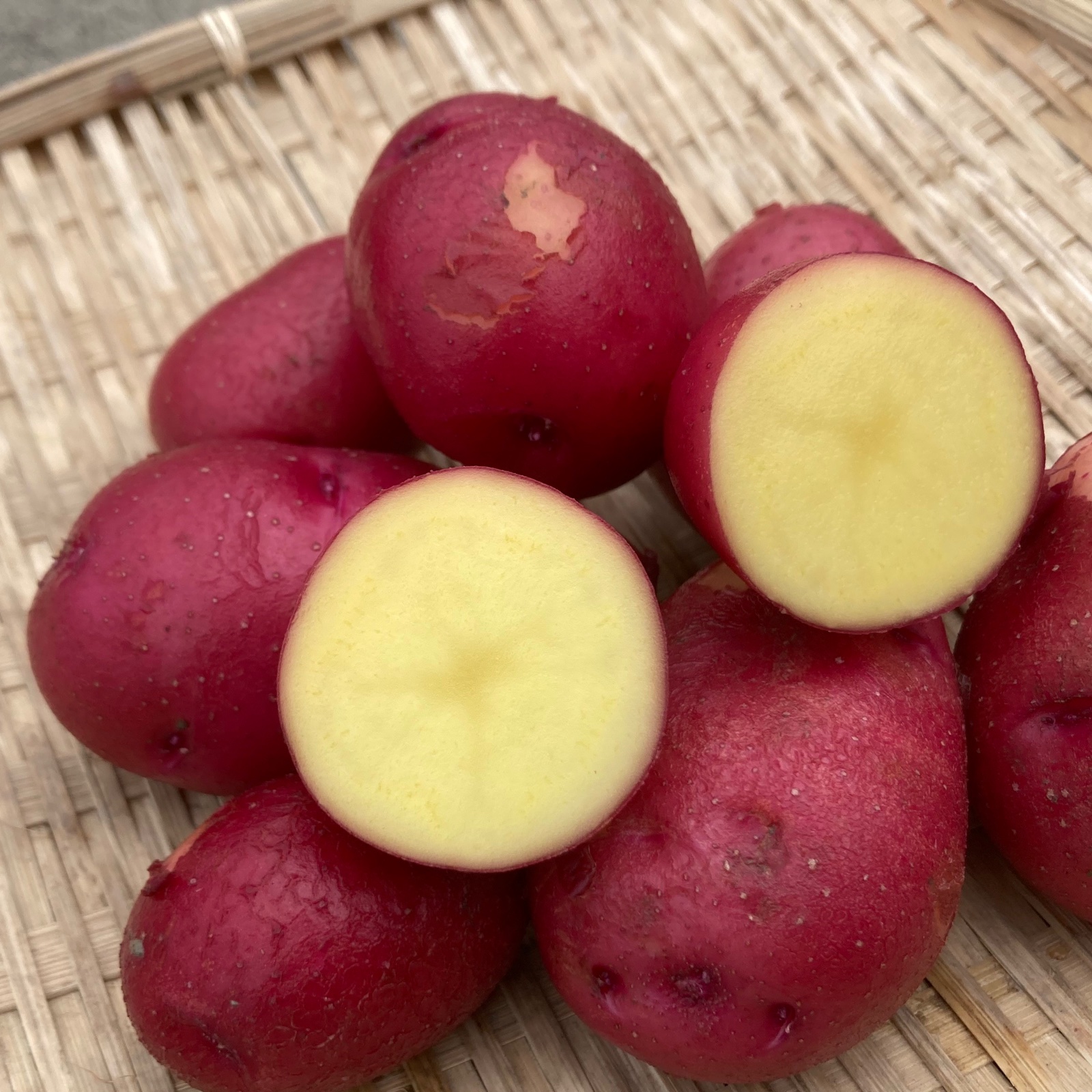 栽培期間中農薬、除草剤不使用 珍しいジャガイモ食べ比べセット