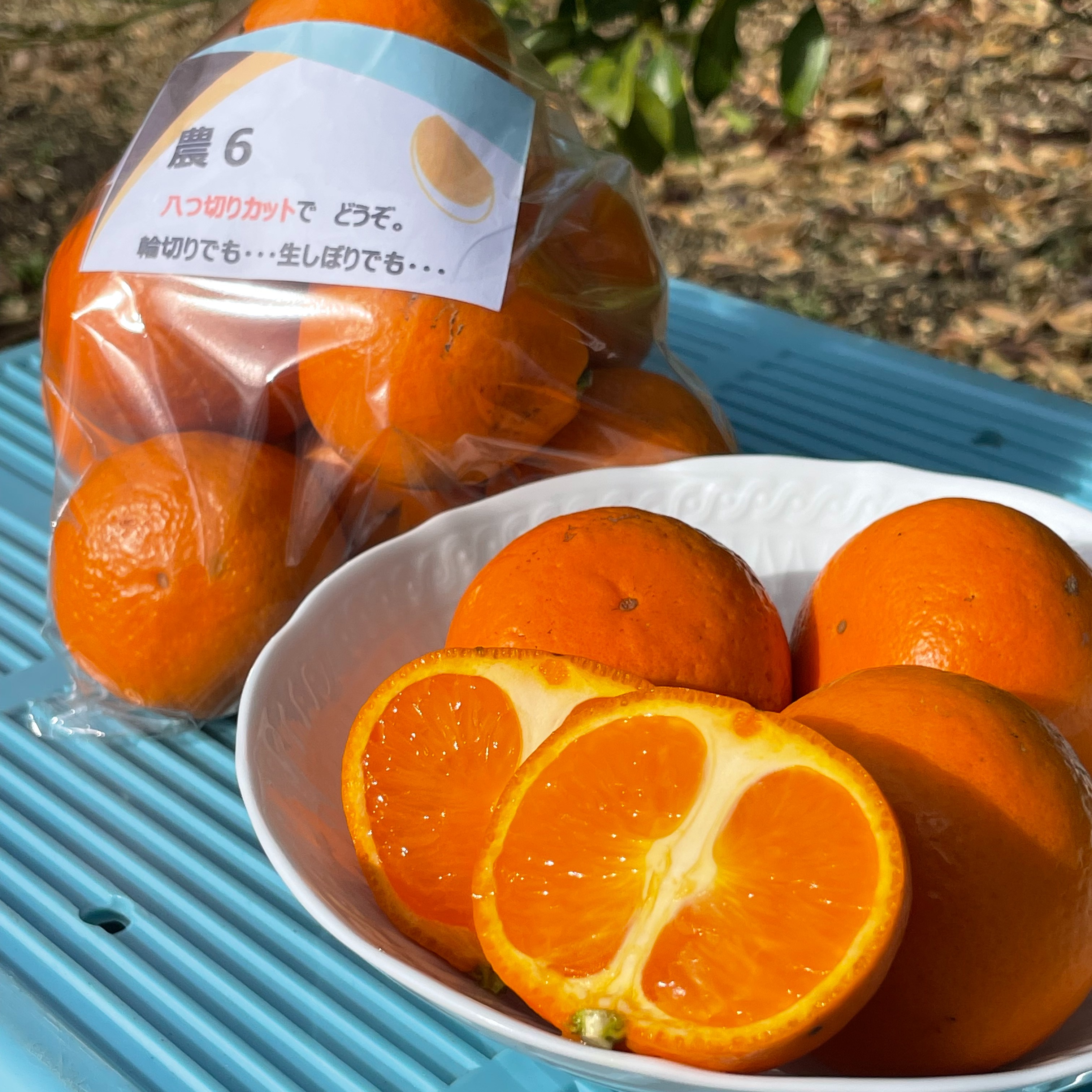かんきつ中間母本農6号 ビタミンチャージ柑橘 1.5kg 希少柑橘 ｜ 果物