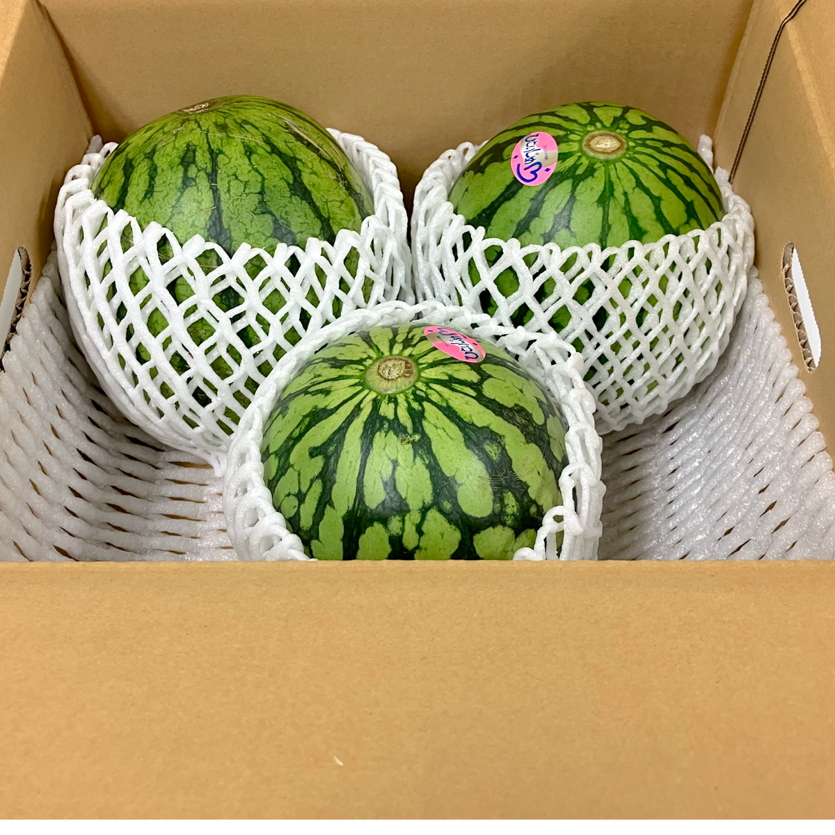 熊本県産小玉スイカ　3〜6玉入り2箱　家庭用 楽天市場】ギフト 送料無料 熊本県産 小玉スイカ 2Lサイズ 1.4kg