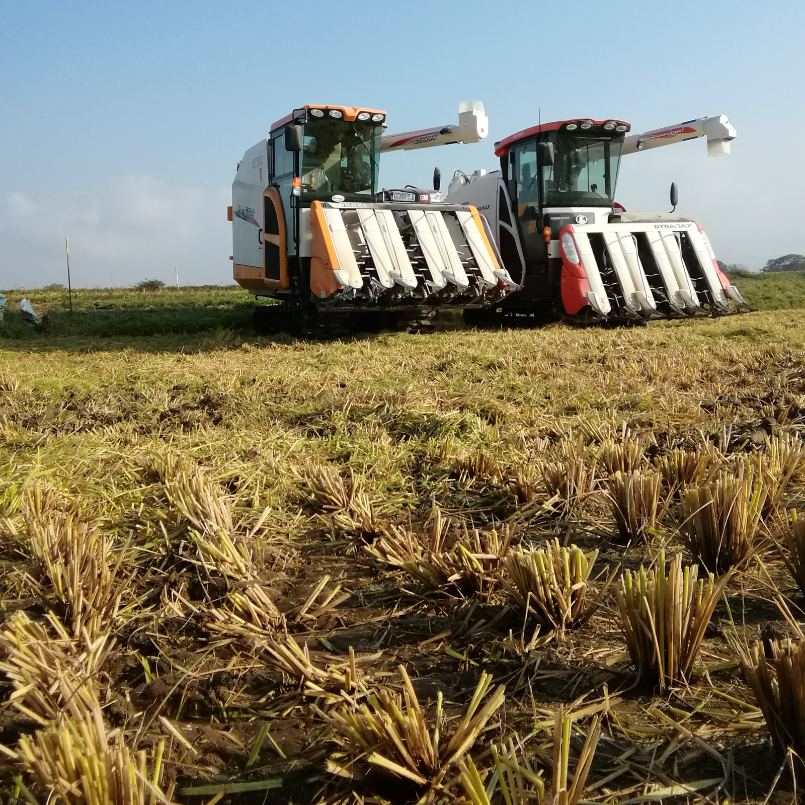 令和7年産はれわたり20㎏ | 米・穀物/無洗米 産直アウル 農家から直接