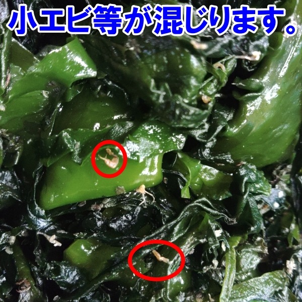 塩蔵わかめ 訳あり品 宮城県石巻産