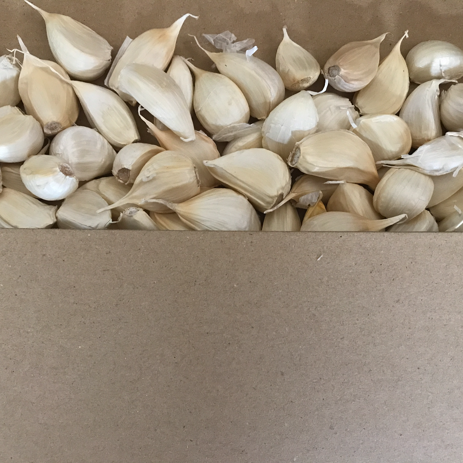 わけあり品・小粒のみ】青森県産ホワイト六片種にんにく バラ 500g 令