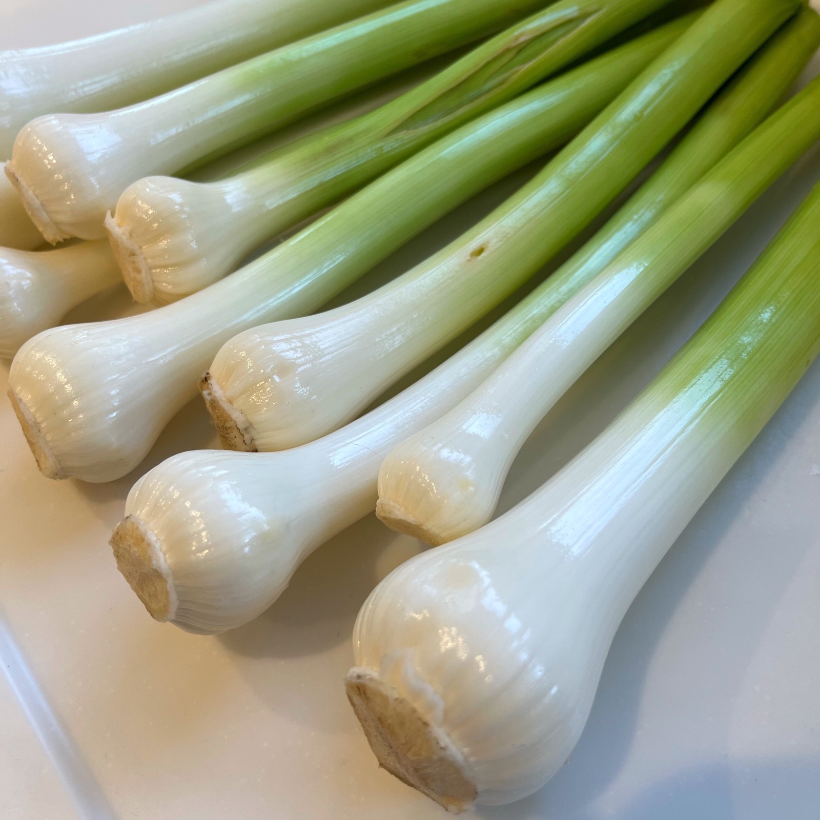 アリス農園のジャンボ葉ニンニク ｜ 野菜/にんにく 産直アウル 農家