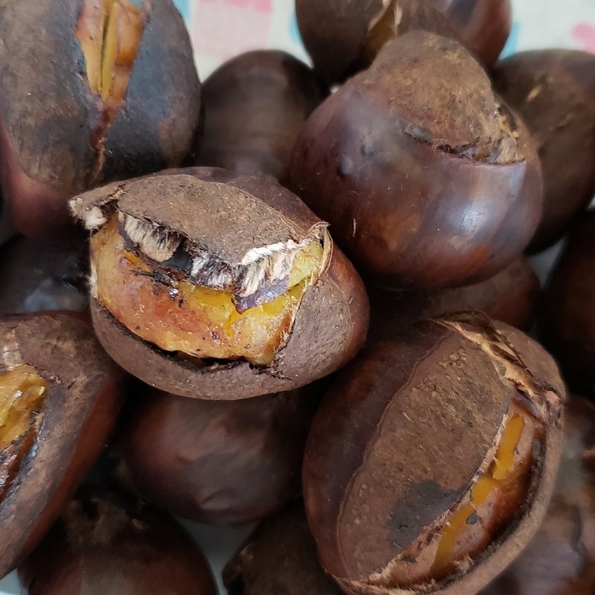 【K★K（9/19）】栗　茨城県産　朝取れ　厳選　5kg