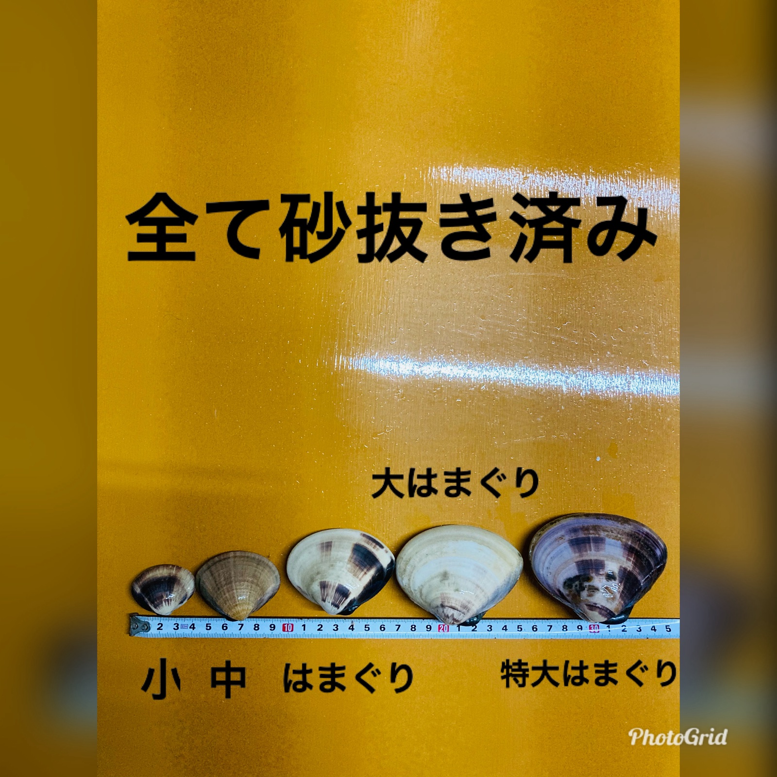 大はまぐり2キロ（16-22個） ｜ 魚介類/蛤 産直アウル 農家・漁師など