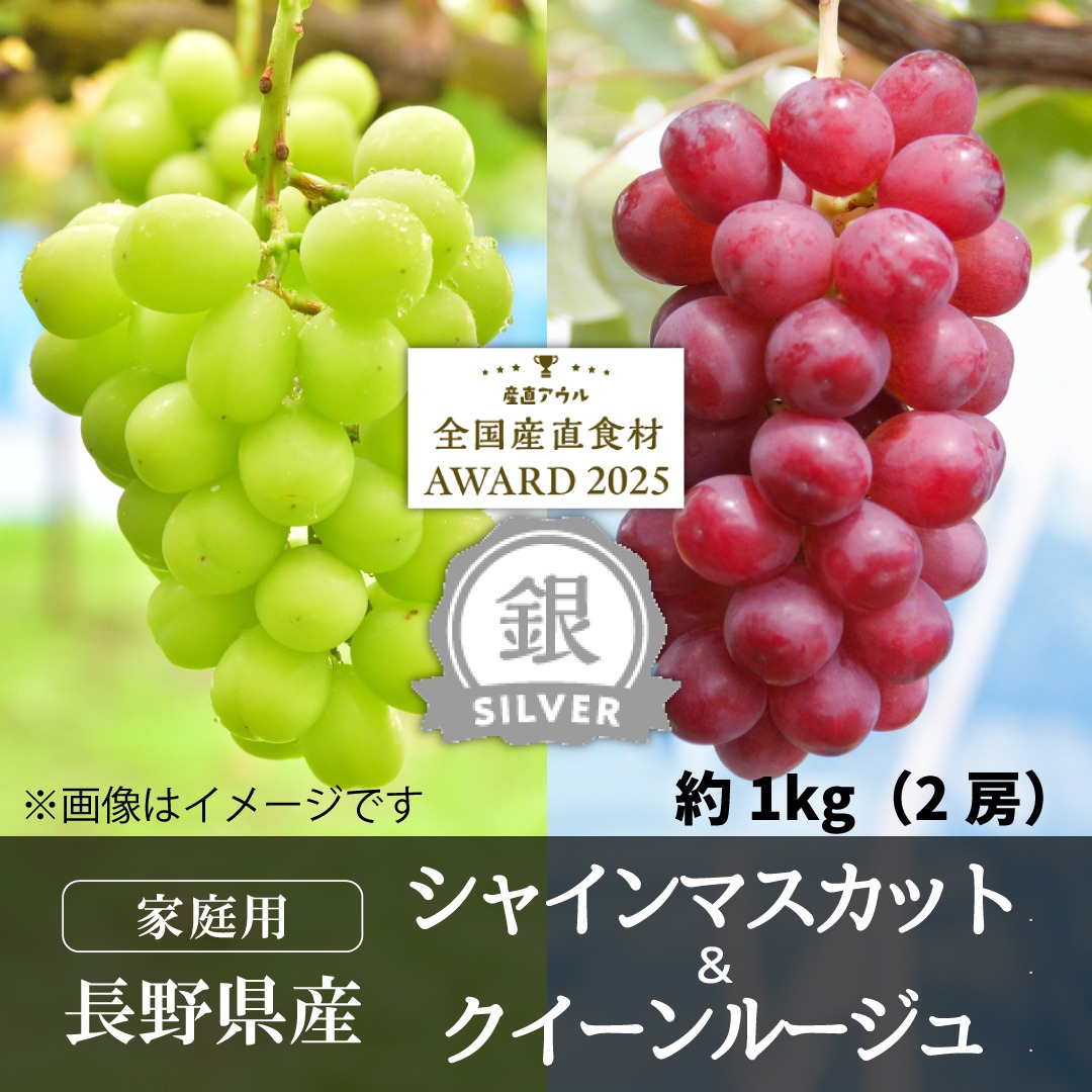 ☆朝採り農家直送☆シャインマスカット/クイーンルージュ☆各１kg☆ 家庭用】クイーンルージュ＆シャインマスカット1kg（各1房）／本気農場