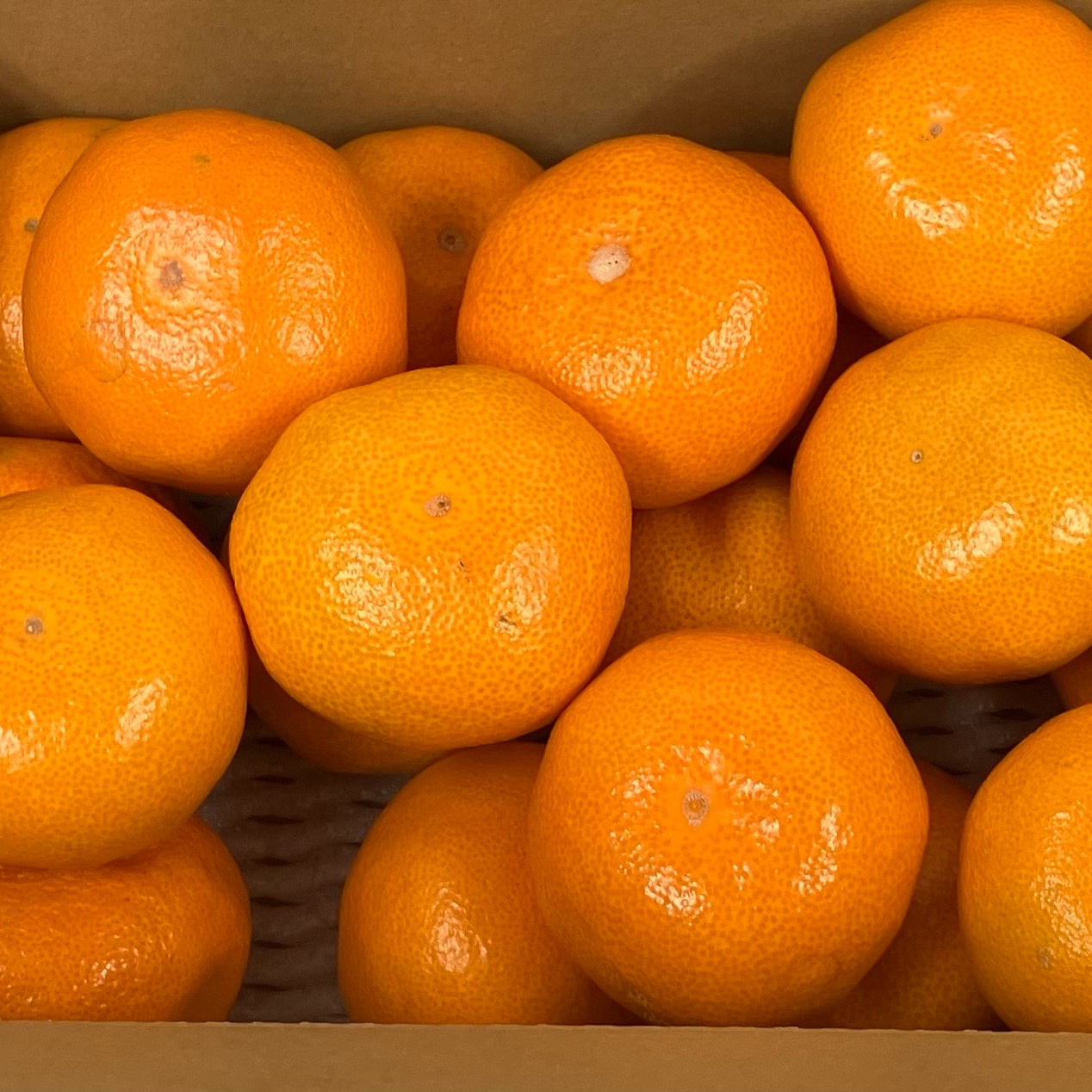 9e8460dadf8203c8f4ff5b38f33af2