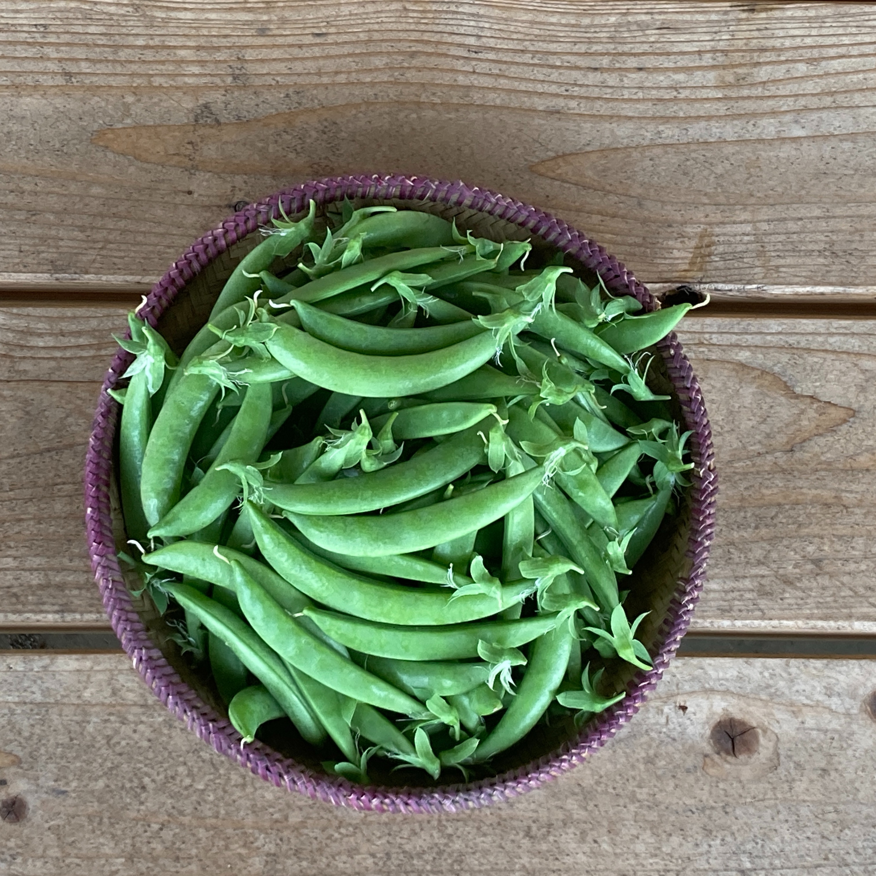 スナップエンドウ 1kg ｜ 野菜/豆類 産直アウル 農家・漁師など生産