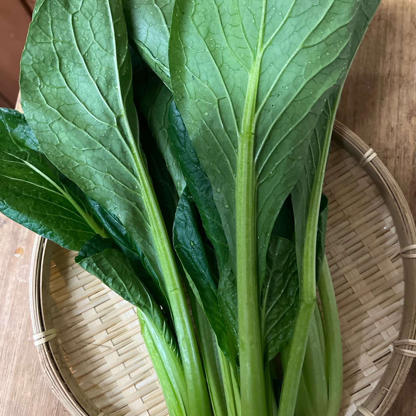 新鮮 小松菜 小松菜2kg ｜ 野菜/小松菜 産直アウル 農家・漁師など生産者から直接