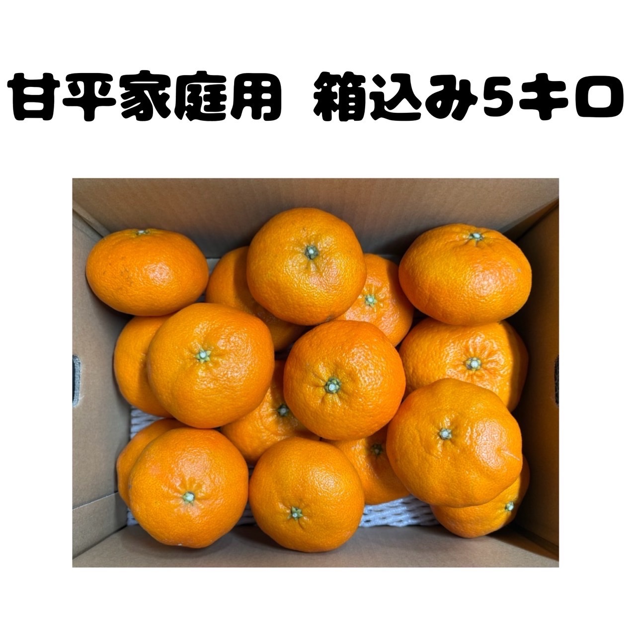 ☆木下さんちの甘平☆家庭用箱込み10キロ(5キロ箱×2箱) | 果物