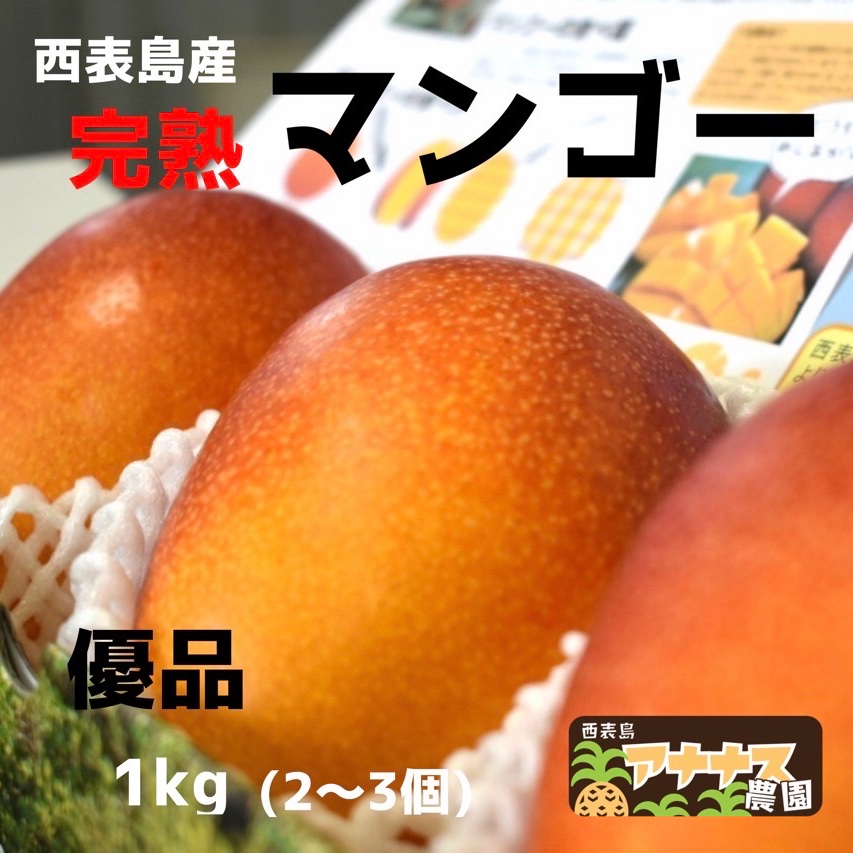 完熟マンゴー1kg(2〜3個) ｜ 果物/マンゴー 産直アウル 農家・漁師など