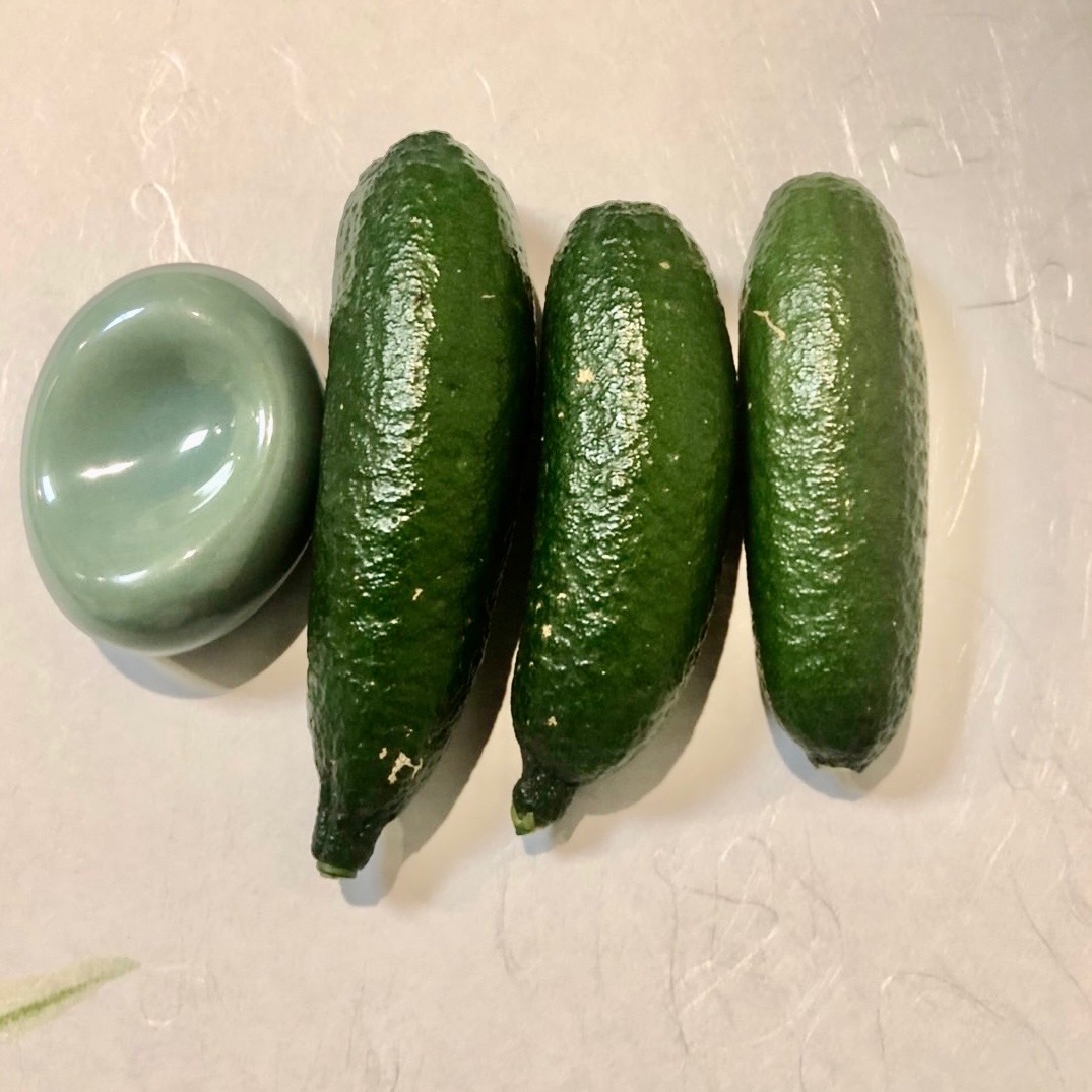 フィンガーライム　２点セット　1 大苗】フィンガーライム TASTY GREEN テイスティーグリーン 2年生21