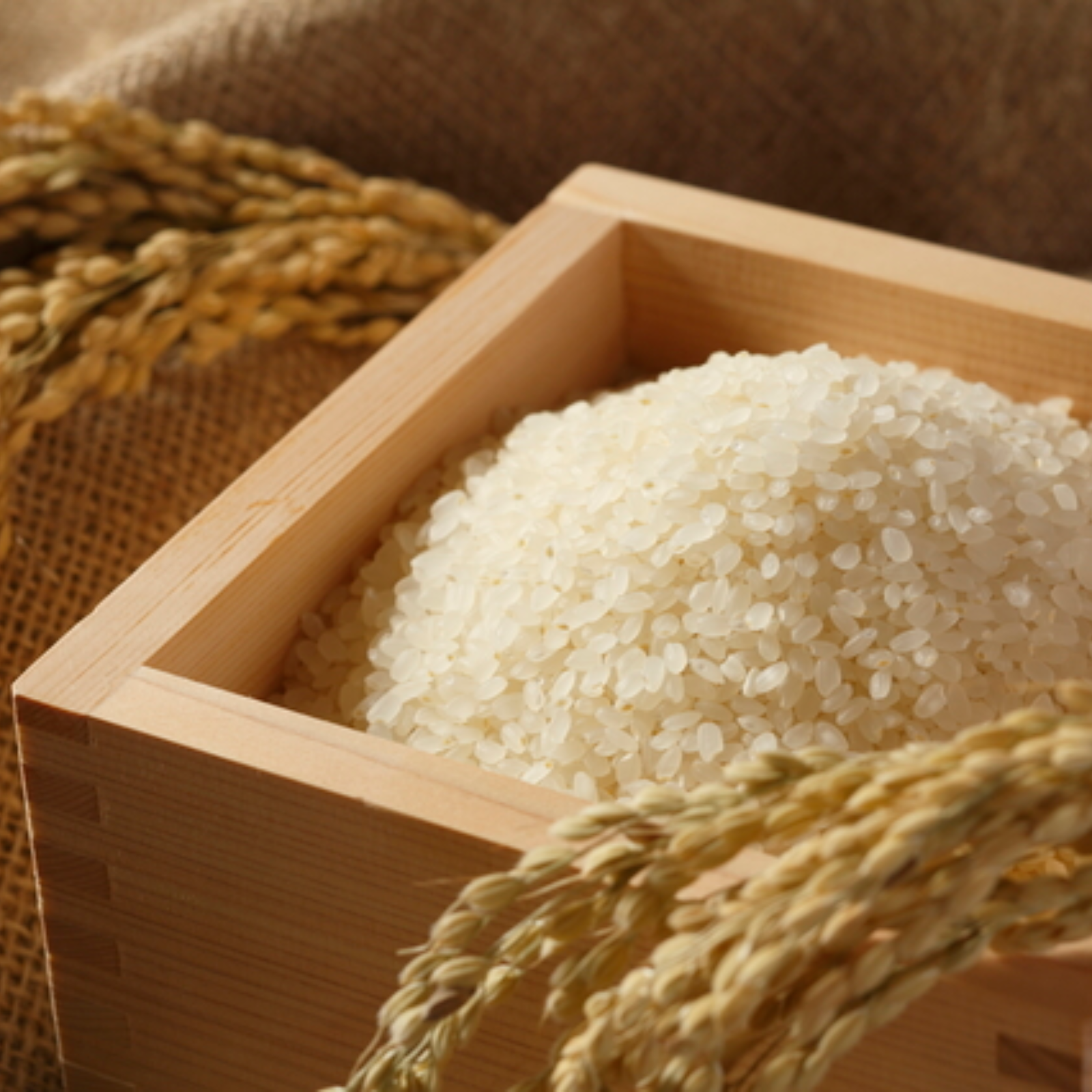 訳あり令和6年産】ゆめぴりか20Kg | 米・穀物/米/精米 産直