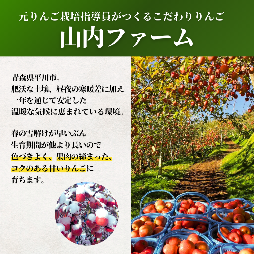 値下げ【数量限定】青森県ぐんま名月、家庭用約3kg自然の恵みたっぷり