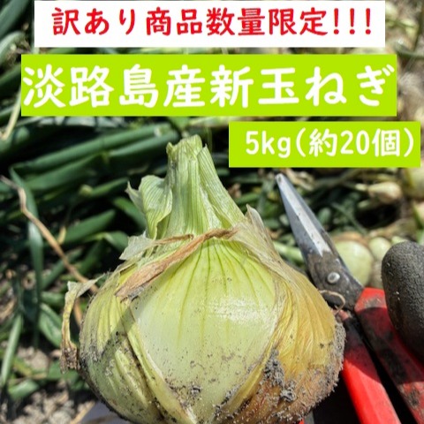 訳あり数量限定！淡路島産ブランド新玉ねぎ 『にじたま』極早生 5kg