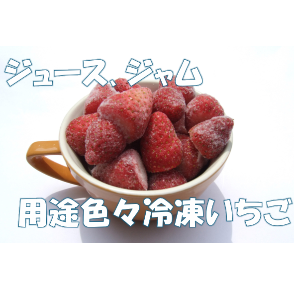 冷凍いちご2kg ｜ 果物/いちご 産直アウル 農家・漁師など生産者