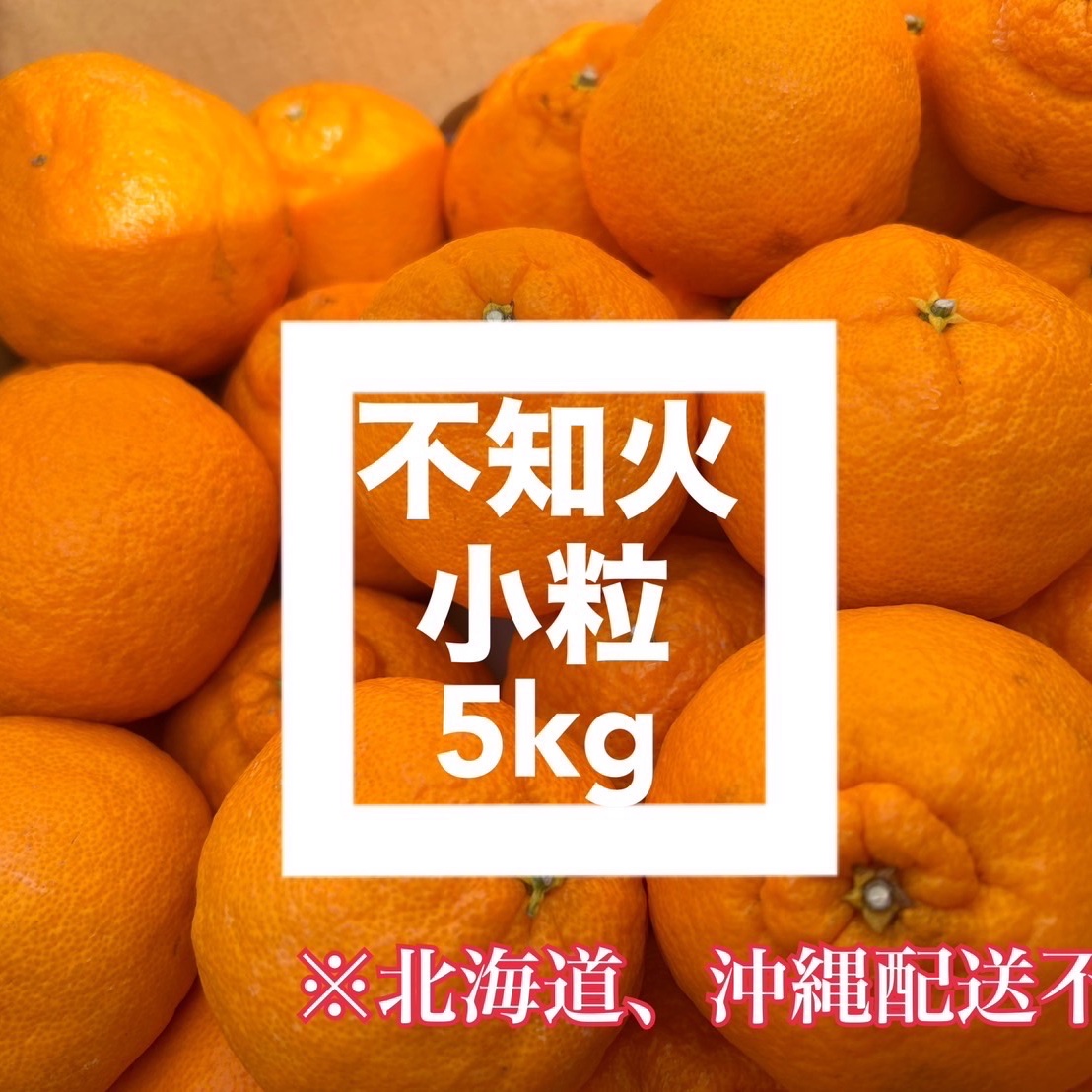 コスパ最高　デコポン　不知火　みかん　40kg 美味しい　北海道不可 10kg×2箱届く【限定数】超特価！不知火 しらぬい 20kg デコポン みかん