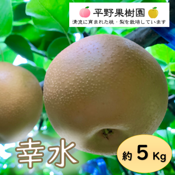 清流球磨梨・幸水 5kg箱(5〜14個入り) ｜ 果物/梨 産直アウル 農家